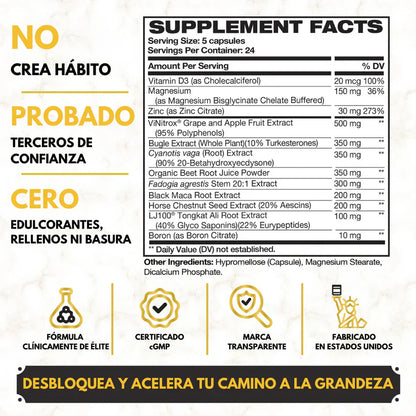 KING MAKER - POTENCIA TU CUERPO AL MAXIMO!